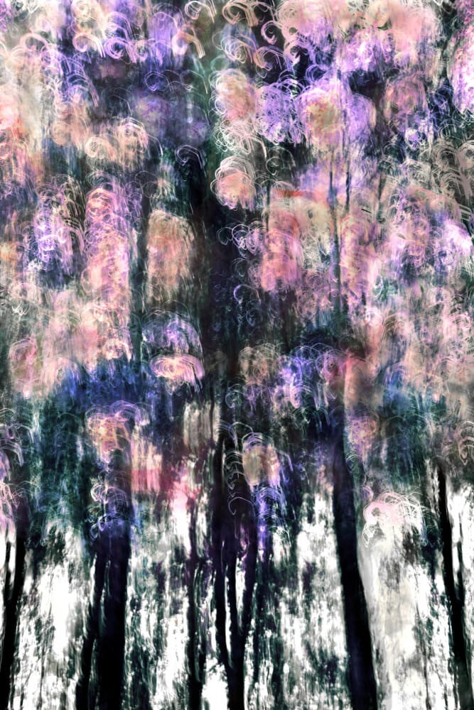 Vibrant Forest Dreams by Christina Sillen — canvas wall art