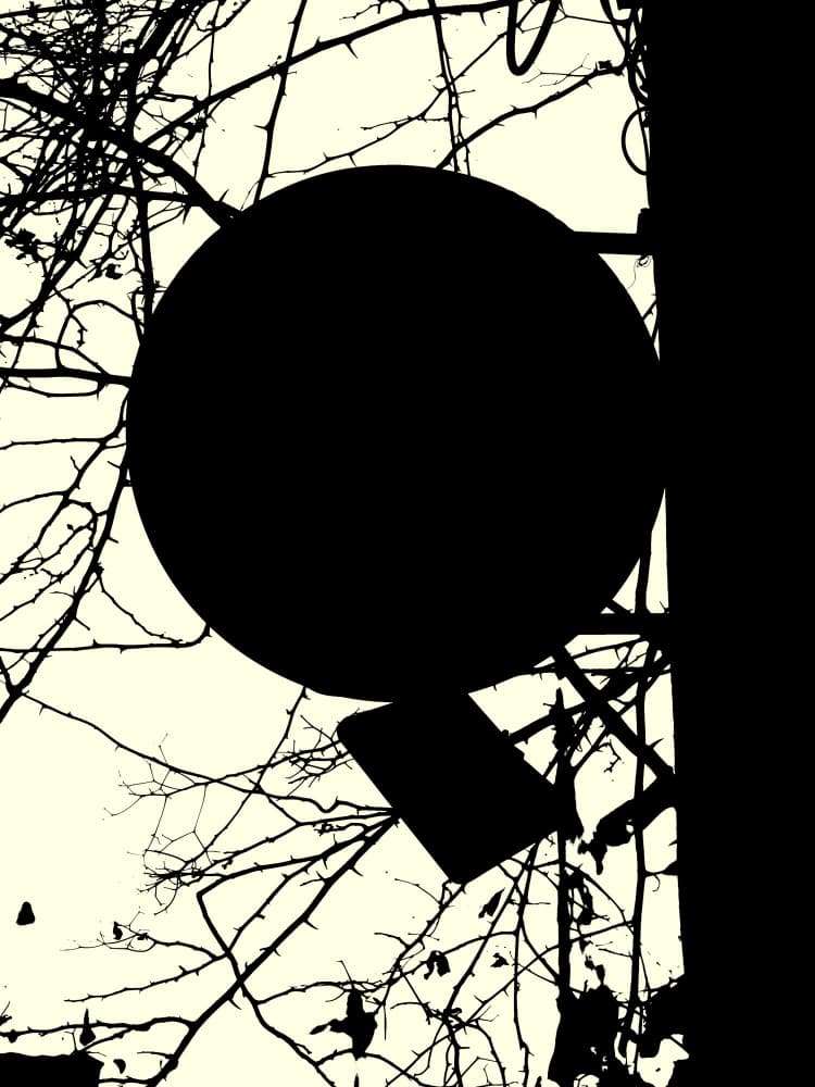 Branches Circle Silhouette by Petr Strnad — canvas wall art