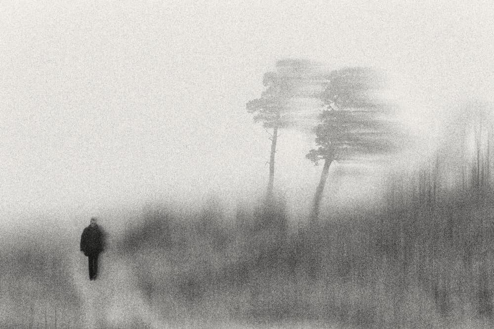 Walking In The Mist by Normunds Kaprano — canvas wall art