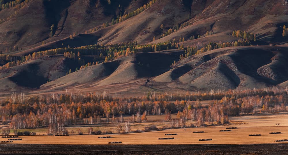 Autumn Field with Hay Bales by Haim Rosenfeld — canvas wall art