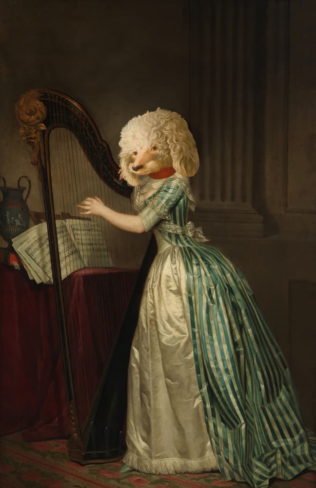 Whimsical Poodle Harpist by Marja van den Hurk — canvas wall art