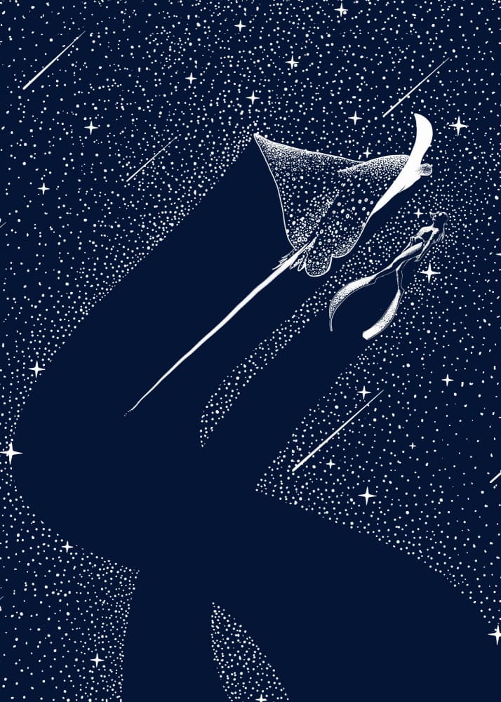Cosmic Eagle Ray by Alirıza ÇAKIR — canvas wall art