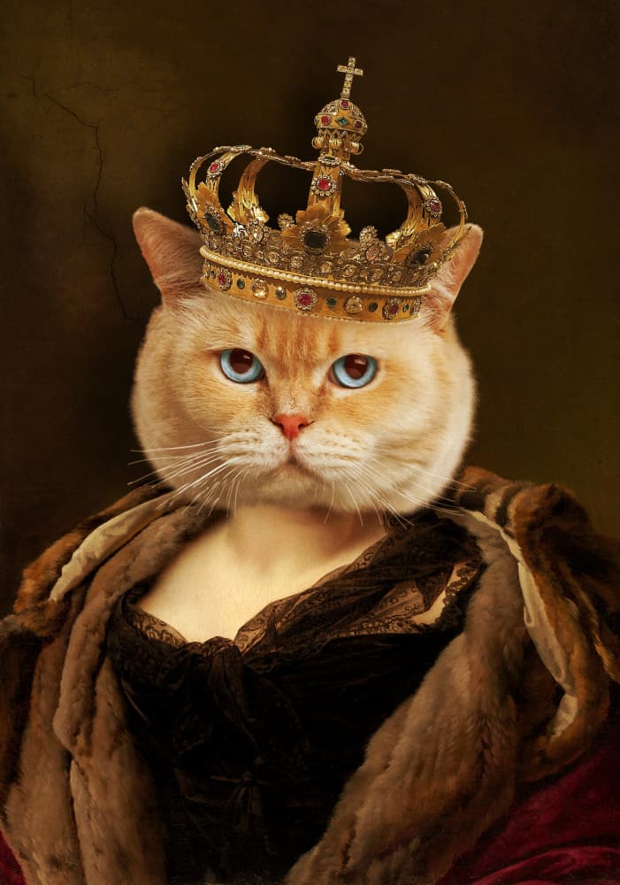 Royal Cat Portrait by Marja van den Hurk — canvas wall art