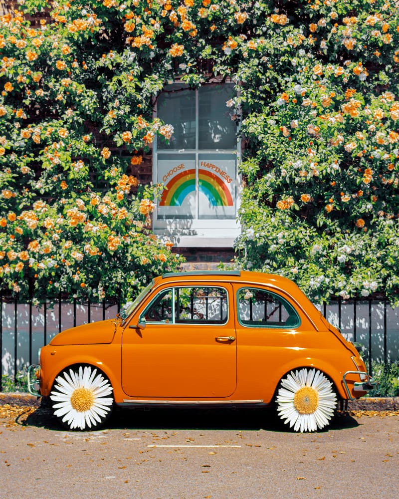 Orange Daisy Car by Gabor Estefan — canvas wall art