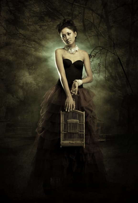 Dark Elegance Birdcage by hardibudi — canvas wall art