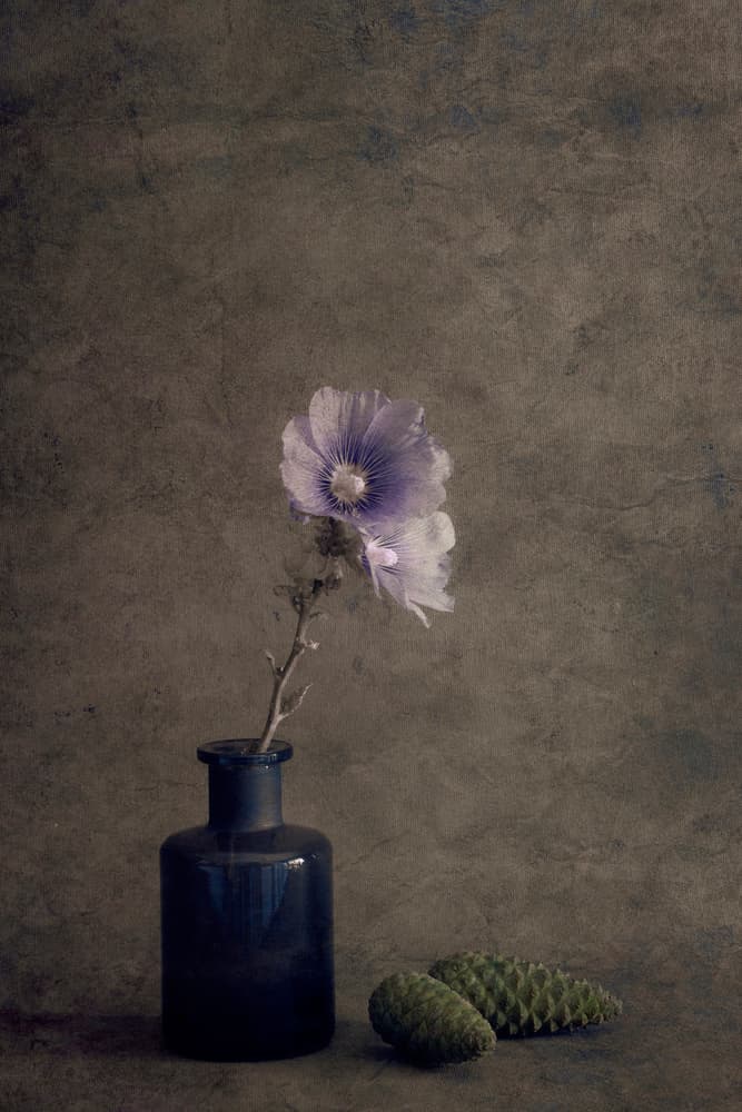 Quiet Botanical Still Life by Cicek Kiral — canvas wall art