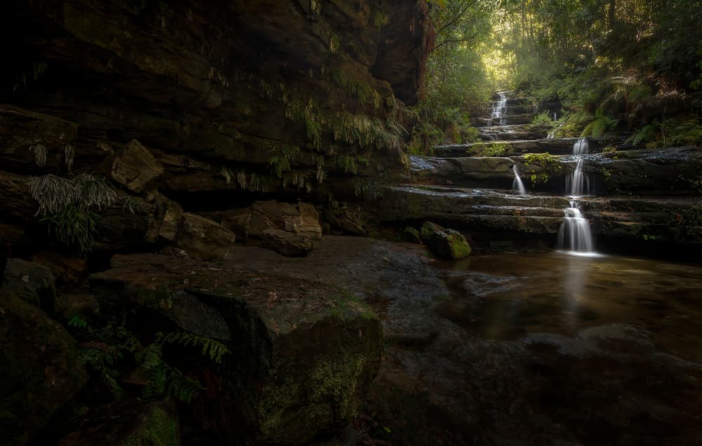Forest Waterfall Steps by Yan Zhang — canvas wall art