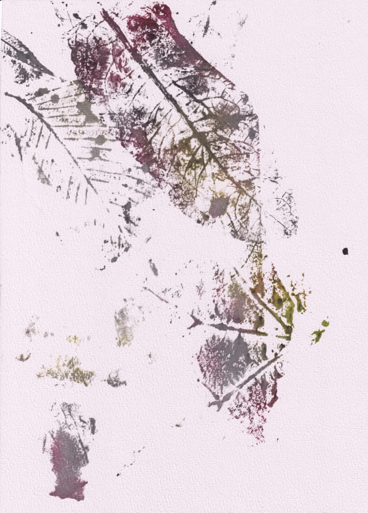 Earthy Botanical Impressions by Maira Ribena — canvas wall art