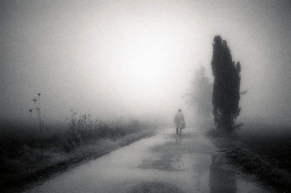 Solitary Walk In Mist by Miki Meir Levi — canvas wall art