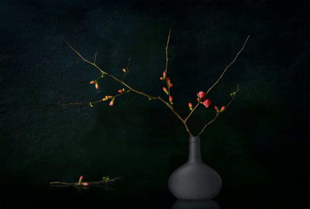 Dark Blooming Branches by Juan Antonio Palacios — canvas wall art