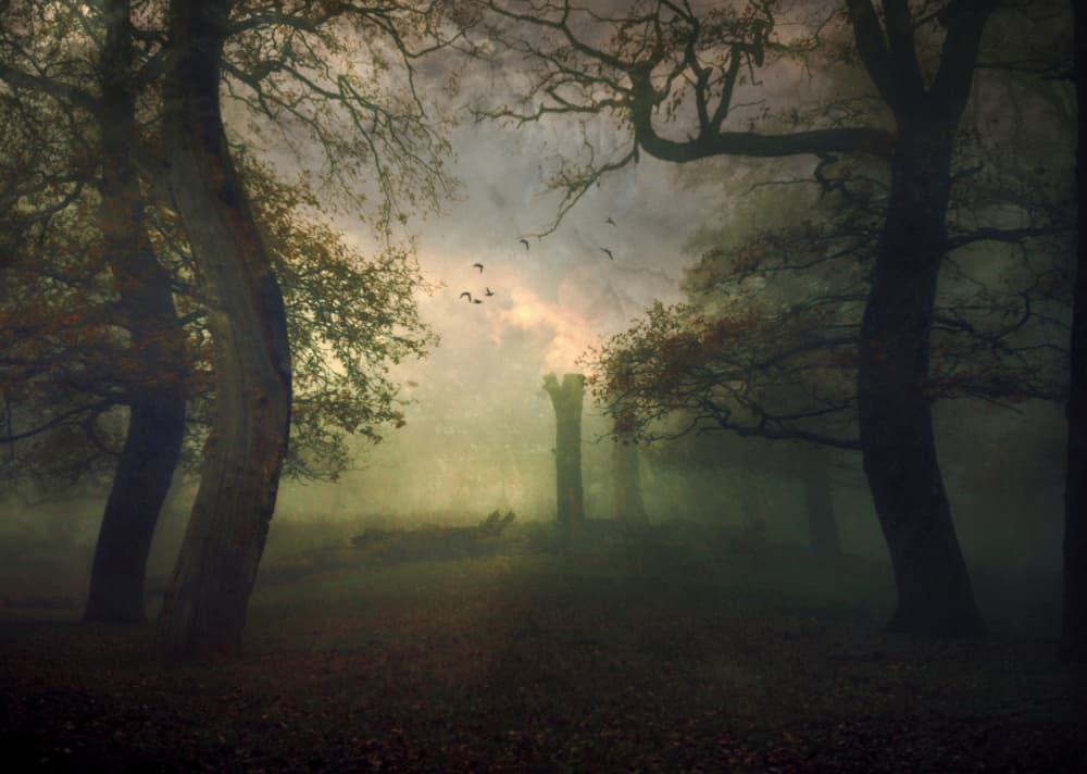 Misty Forest Tower by Robert Fabrowski — canvas wall art