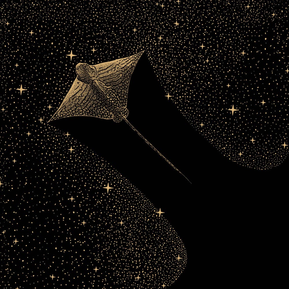 Cosmic Eagle Ray by Alirıza ÇAKIR — canvas wall art