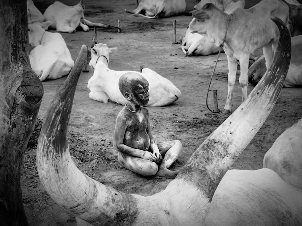 Dinka Child and Cattle by Svetlin Yosifov — canvas wall art