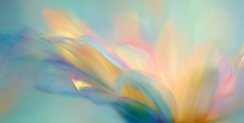 Soft Ethereal Bloom by Treechild — canvas wall art