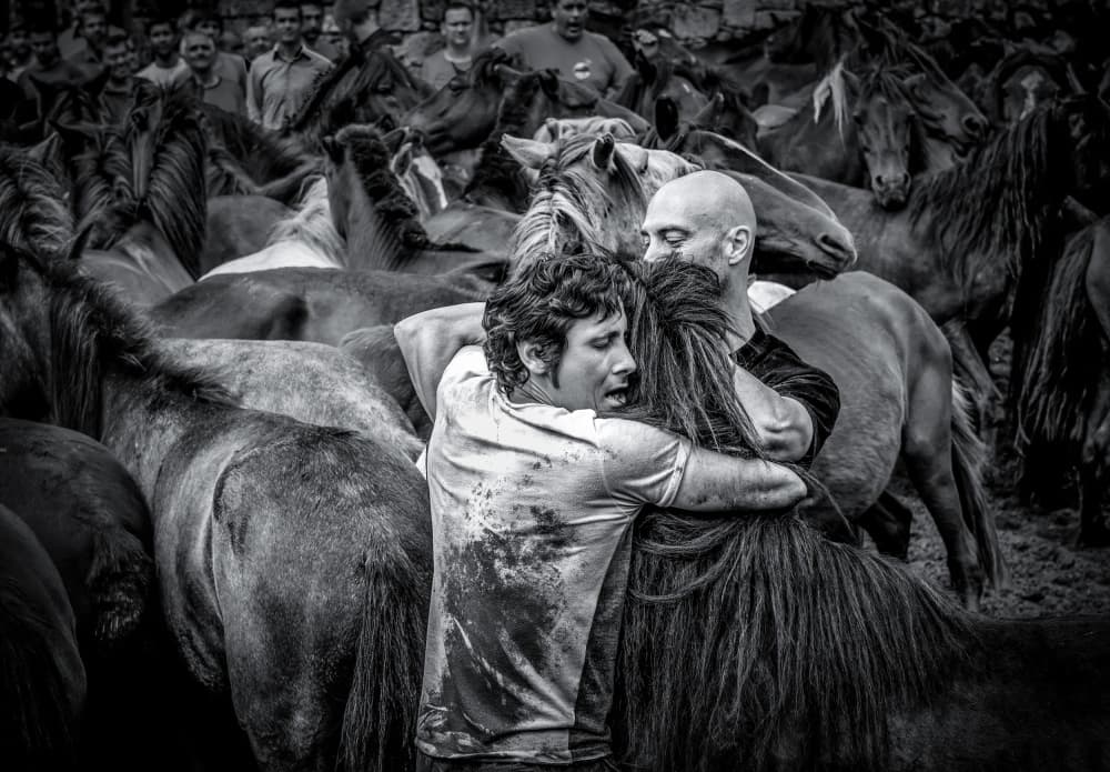 Men Taming Wild Horses by Alfonso maseda varela — canvas wall art