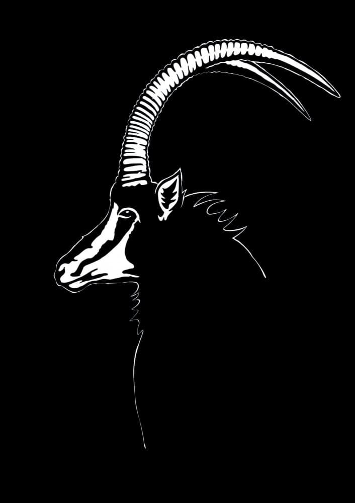 Majestic Sable Antelope by Carlo Kaminski — canvas wall art