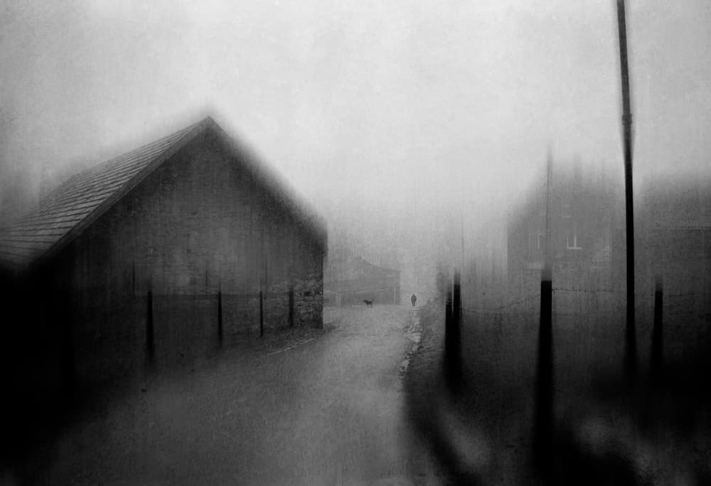Misty Country Path by Adam Dauria ☂ — canvas wall art