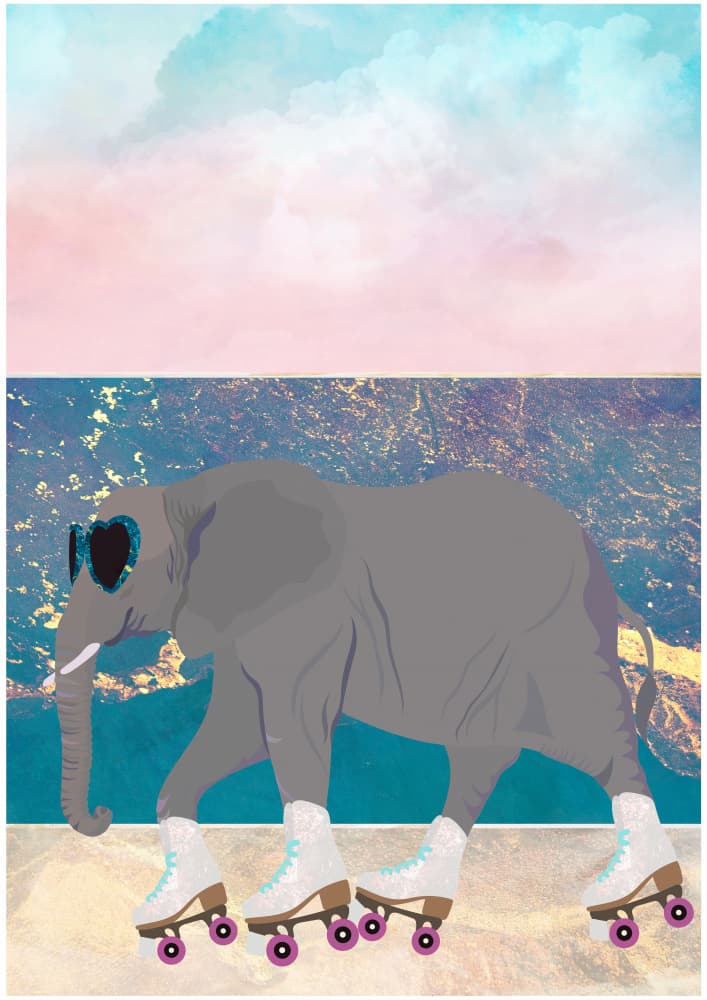 Cool Elephant Skater by Sarah Manovski — canvas wall art