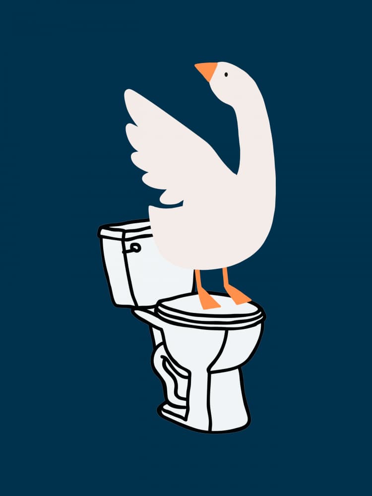 Silly Goose on Toilet by Jolly and Dash — canvas wall art