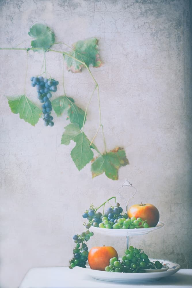 Harvest Fruit Still Life by Delphine Devos — canvas wall art