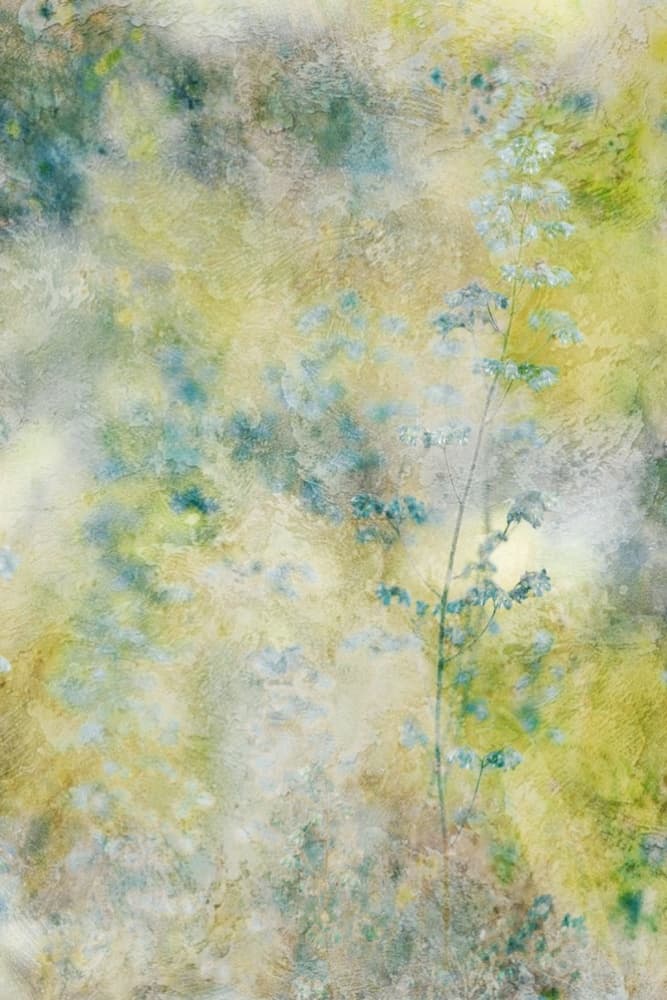 Dreamy Watercolor Flowers by Delphine Devos — canvas wall art