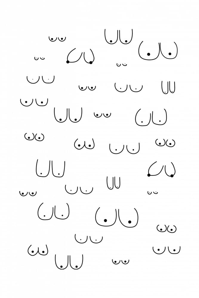 Diverse Breast Shapes by Frankie Kerr-Dineen — canvas wall art