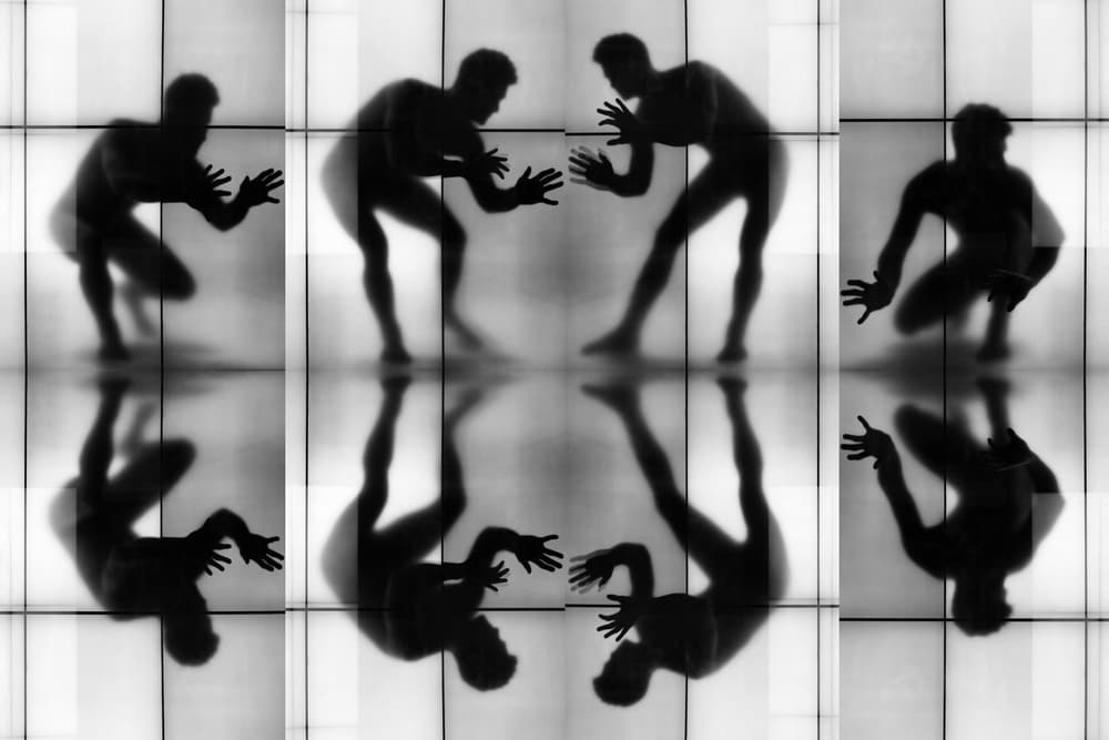Dynamic Silhouettes Reflected by Igor Shrayer — canvas wall art
