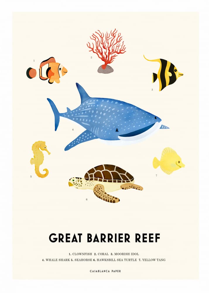 Great Barrier Reef Animals by Erik Wintzell — canvas wall art