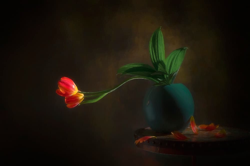 Graceful Tulips Still Life by Lydia Jacobs — canvas wall art