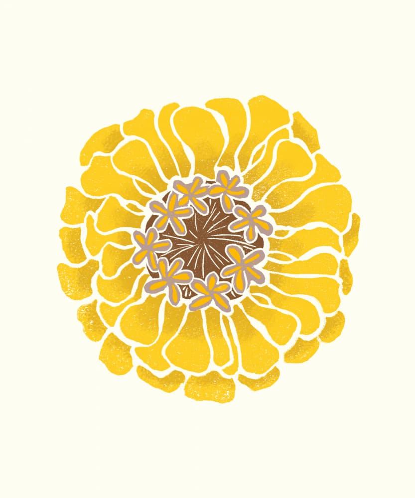 Sunny Yellow Bloom by Melissa McKeagney — canvas wall art