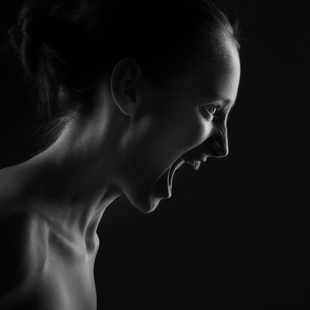 Screaming Woman Profile by AURIMAS VALEVICIUS — canvas wall art
