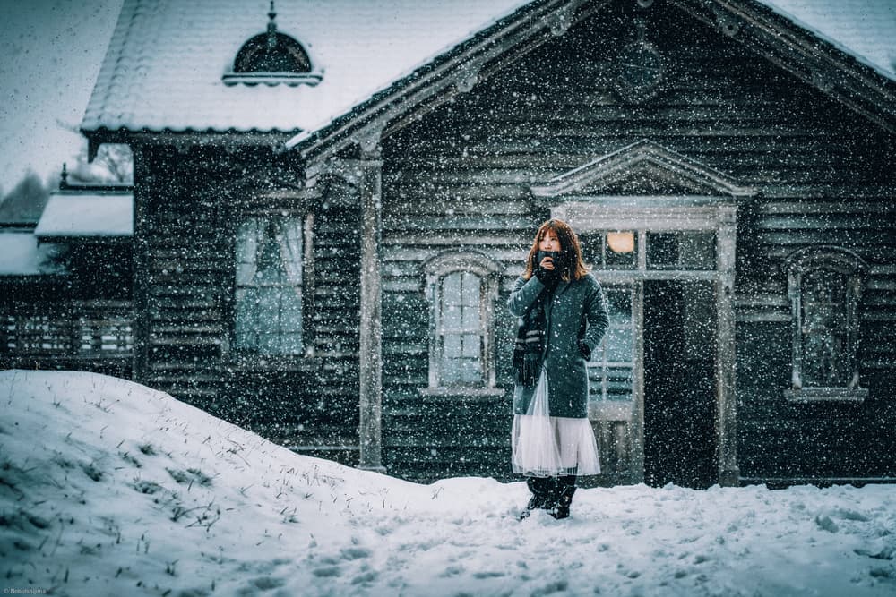 snow day by Nobu Ishijima — canvas wall art