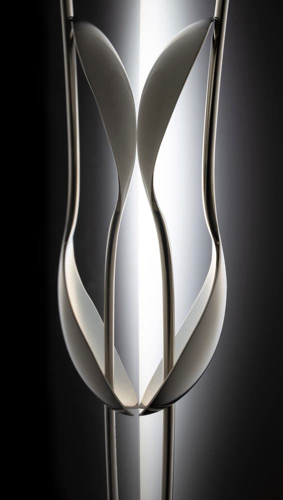 Elegant Metallic Curves by Wieteke de Kogel — canvas wall art