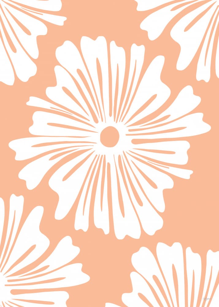 Soft Peach Blooms by Sue Skellern — canvas wall art