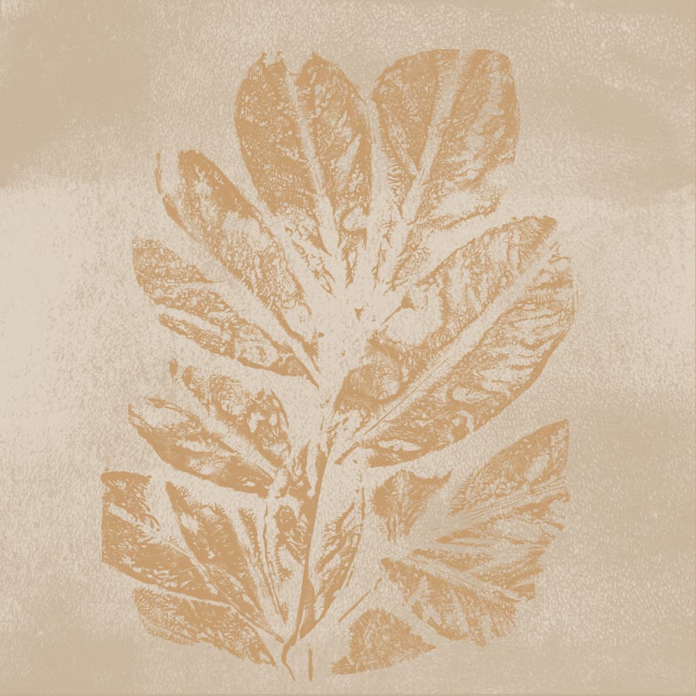 Faded Botanical Print by Dina Dankers — canvas wall art