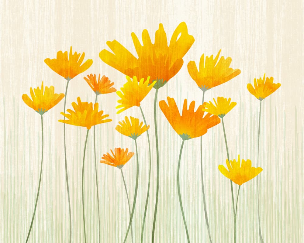 Golden Poppy Field 4x5 by Kristian Gallagher — canvas wall art