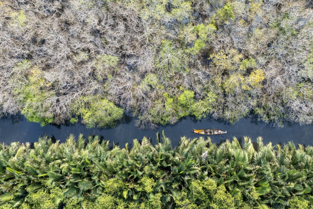 Tropical River Journey by Sally Widjaja — canvas wall art
