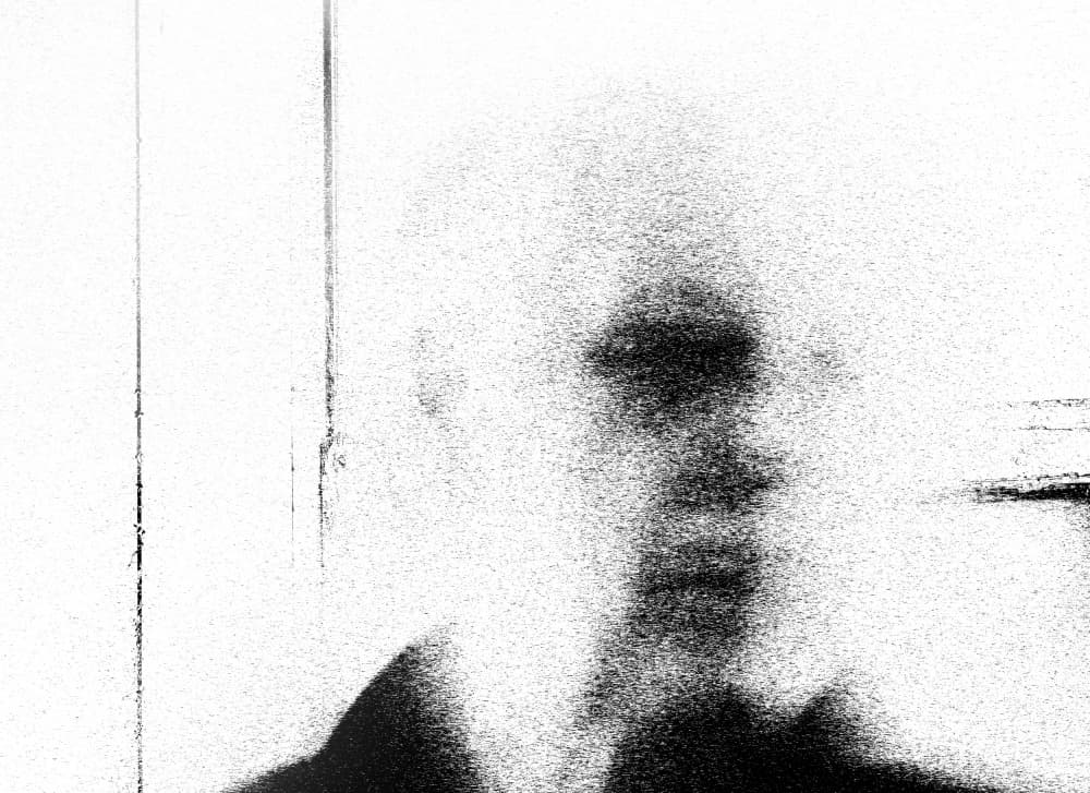 Mysterious Blurred Form by Ylva Sjögren — canvas wall art