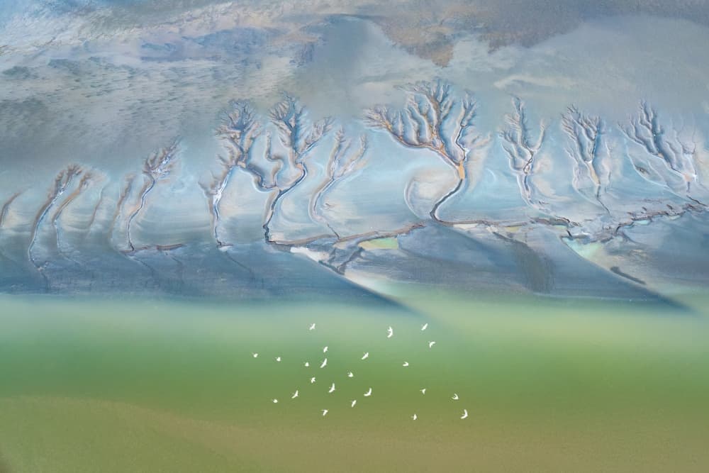 Abstract Delta Bird Flight by Songlin Xu — canvas wall art