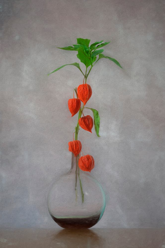 Orange Lanterns Vase by Lydia Jacobs — canvas wall art