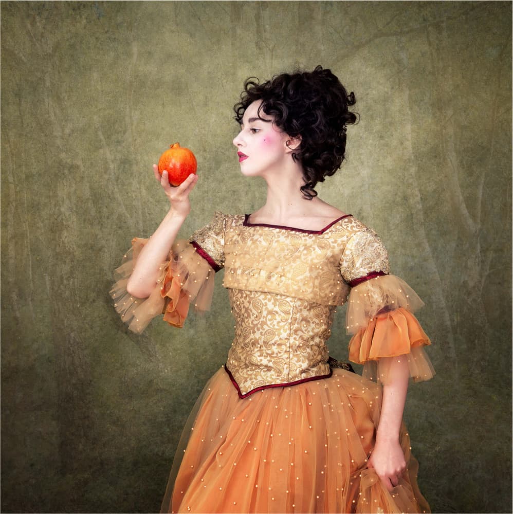 Elegant Pomegranate Portrait by Derwood — canvas wall art