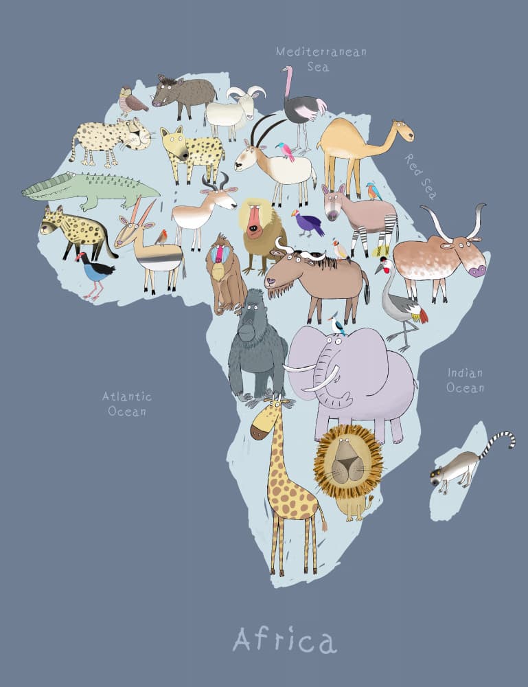 African Wildlife Map by Carla Daly — canvas wall art