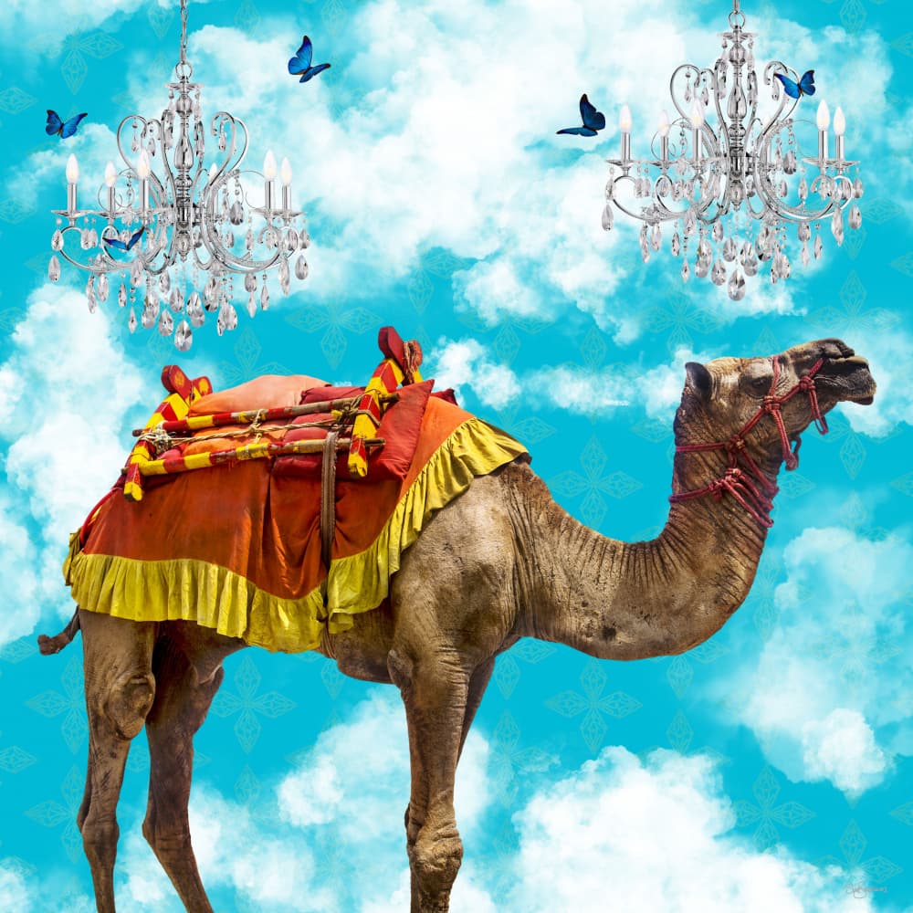 Whimsical Sky Camel by Sue Skellern — canvas wall art