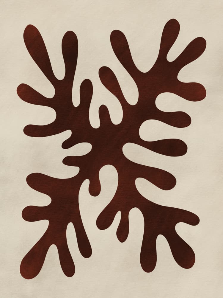 Fluid Botanical Forms by Little Dean — canvas wall art