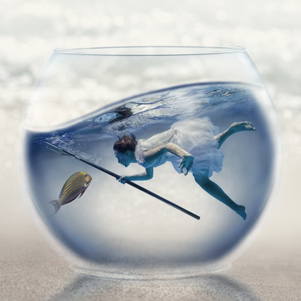 Surreal Fishbowl Pursuit by Dmitry Frizel — canvas wall art