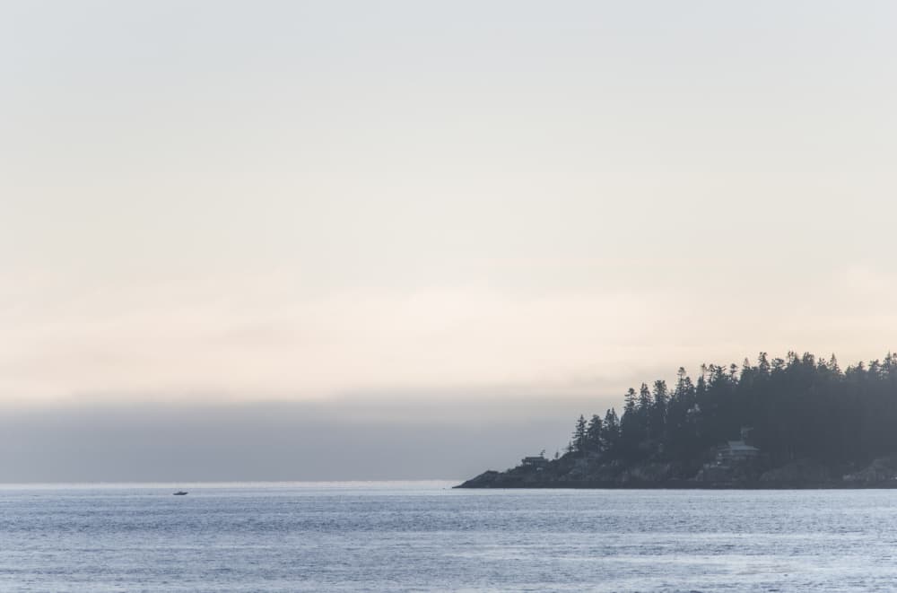 Misty Coastal Serenity by Lynann Colligan — canvas wall art