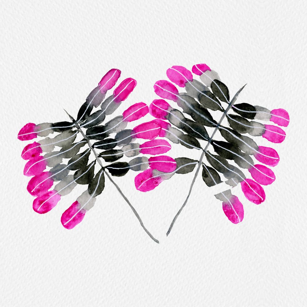 Modern Pink Botanicals by Michele Channell — canvas wall art