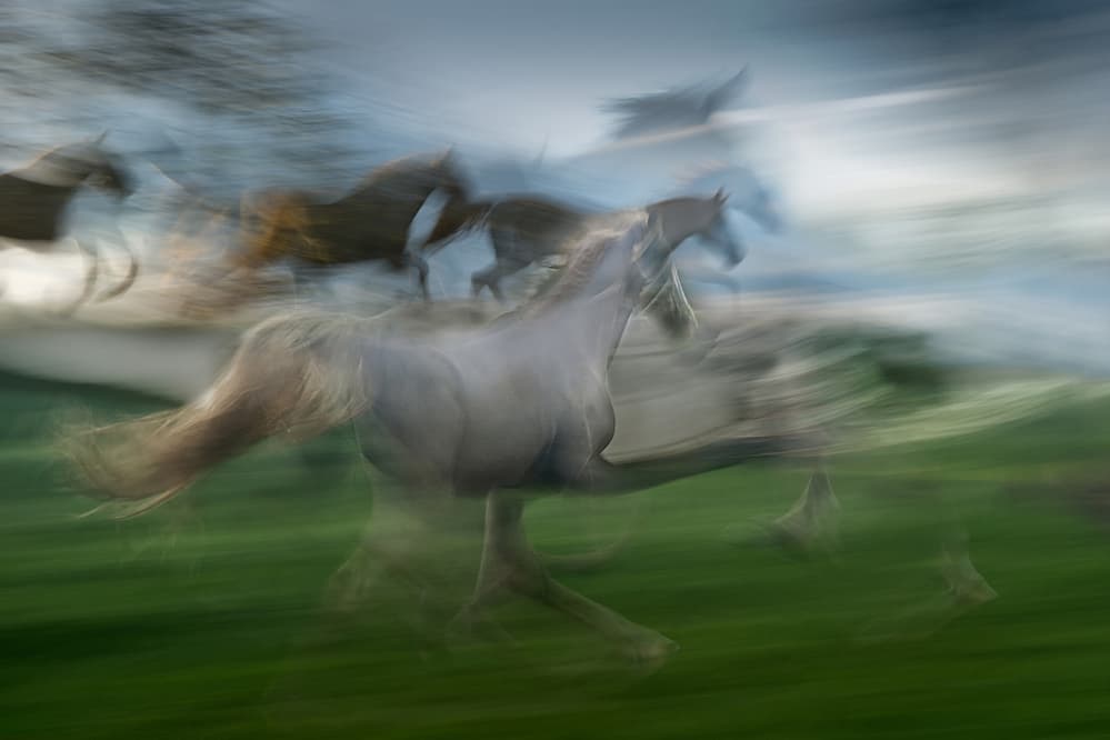 Blurred Wild Horses by Milan Malovrh — canvas wall art