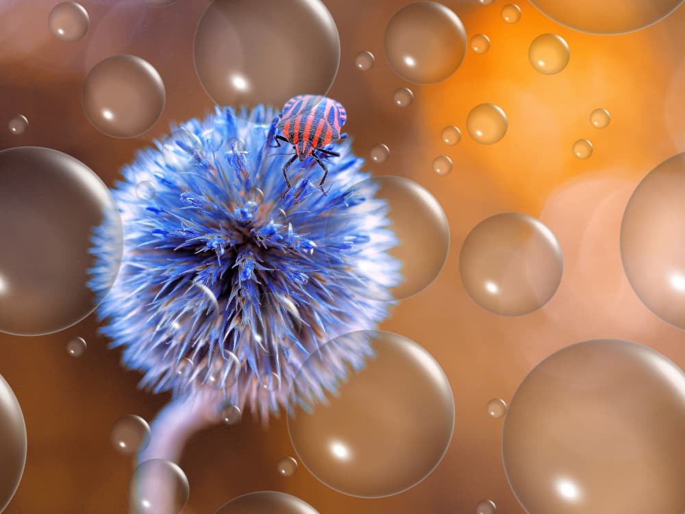 Blue Thistle Bug Bubbles by Thierry Dufour — canvas wall art