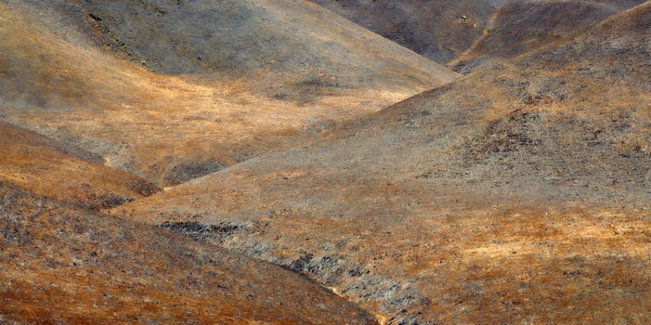 Golden Rolling Hills by Jure Kravanja — canvas wall art